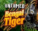 Untamed Bengal Tiger Video Slot